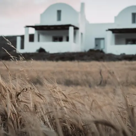 Bianco Diverso Willa *