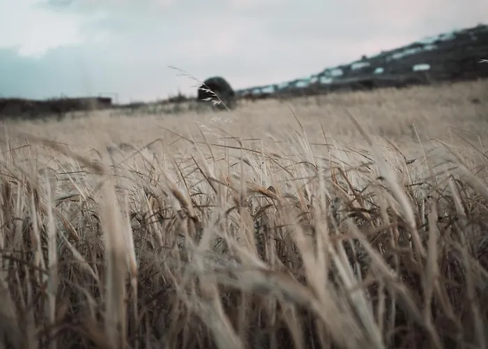 Bianco Diverso Villa Imerovigli (Santorini)